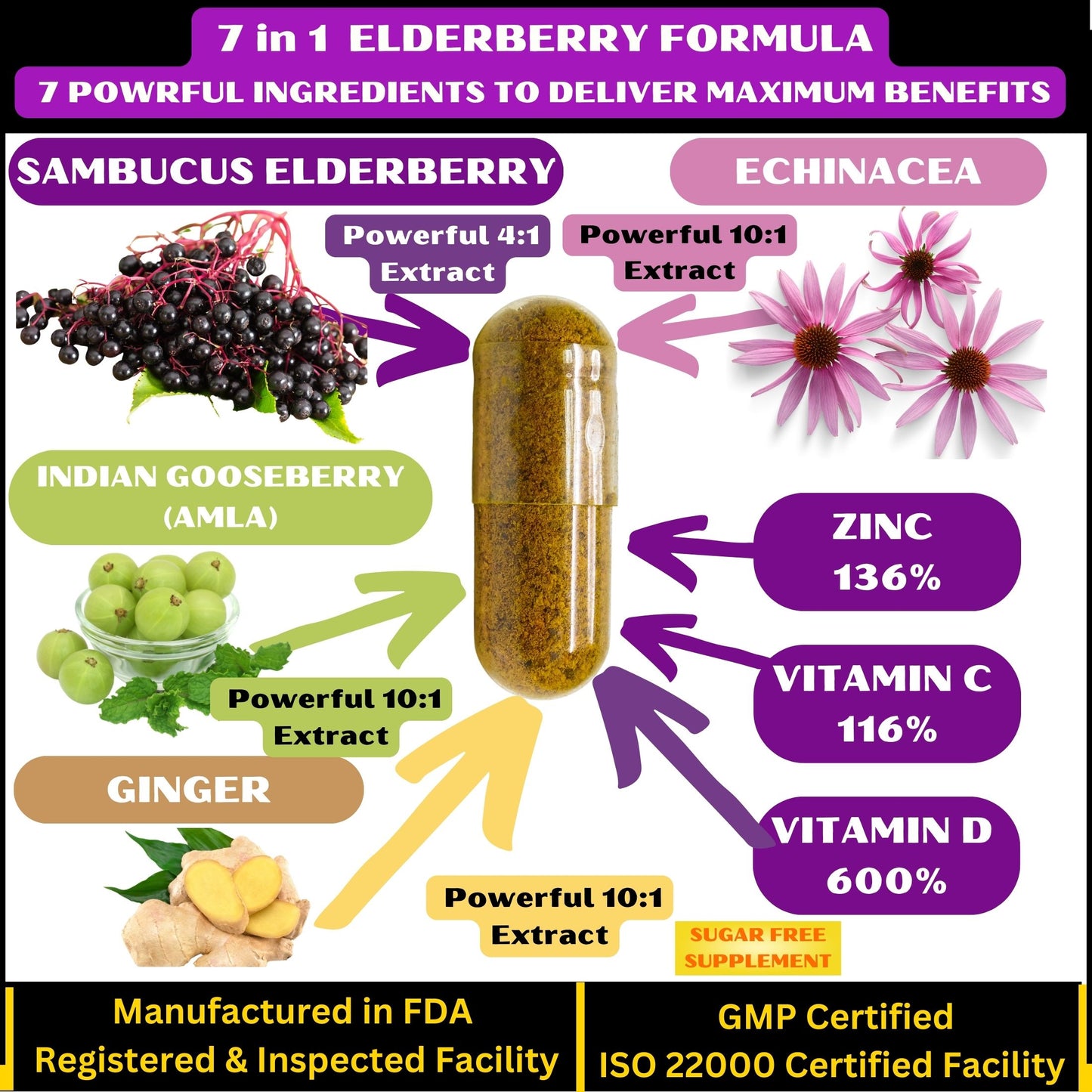Best Elderberry Blend with 7 Ingredients Sambucus Elderberry Echinacea Zinc Vitamin C & D Ginger & Indian Gooseberry SugarFree, Natural NonGMO-90 capsules
