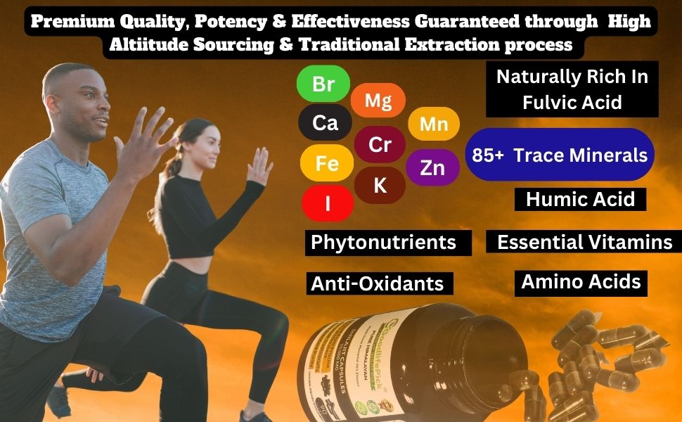 Himalayan Shilajit Capsules 10,000 mg for Maximum Benefits