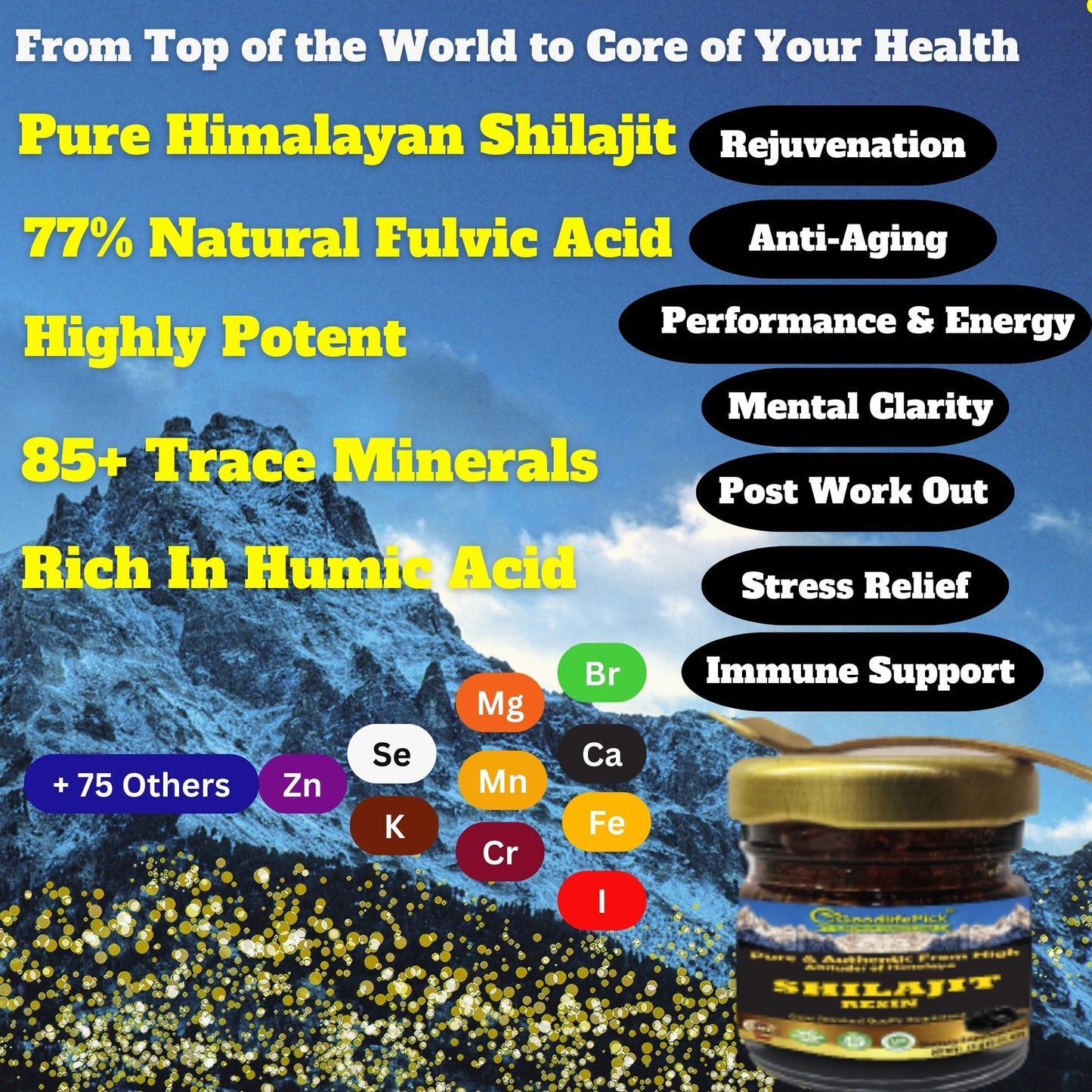 Himalayan Shilajit Resin with 77% Natural Fulvic Acid Gold Standard Pure Shilajit Resin from High Himalayan Peaks