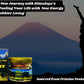 Himalayan Shilajit Resin with 77% Natural Fulvic Acid Gold Standard Pure Shilajit Resin from High Himalayan Peaks